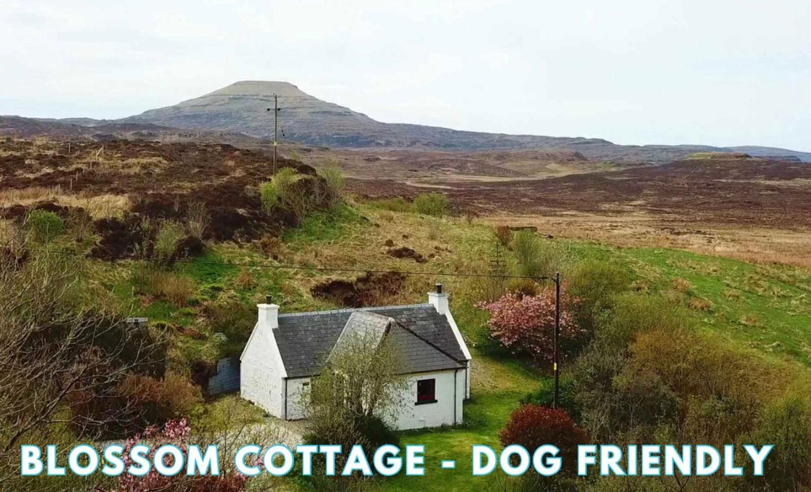 Araucaria Croft Skye Villa Dunvegan  Exterior foto