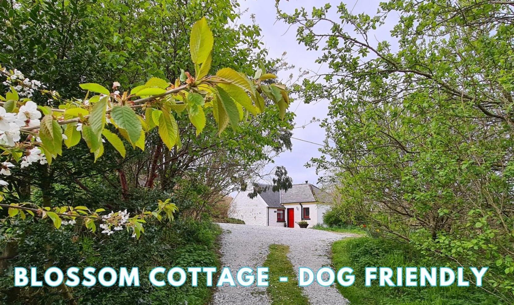 Araucaria Croft Skye Villa Dunvegan  Exterior foto